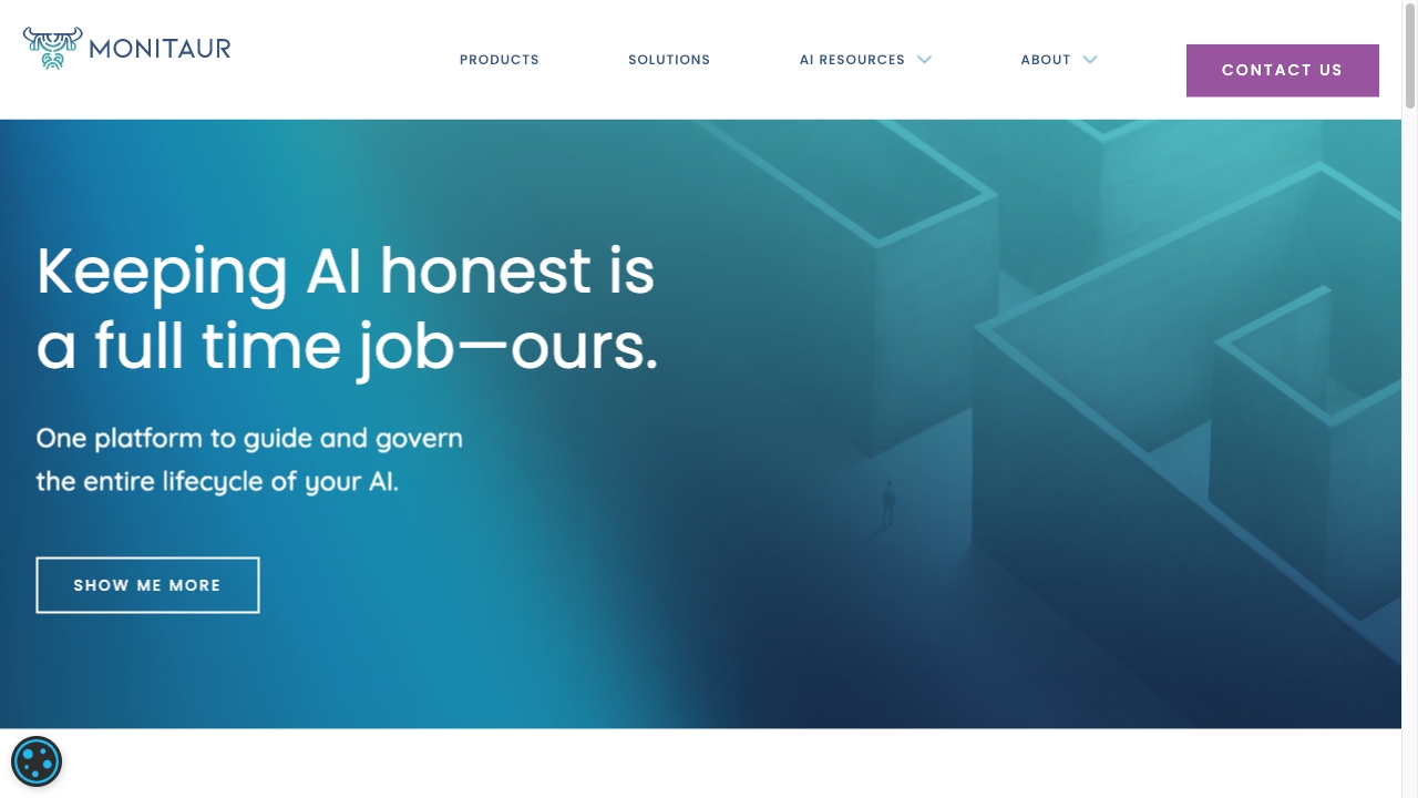 https://monitaur.ai